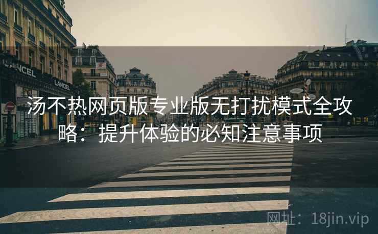 汤不热网页版专业版无打扰模式全攻略：提升体验的必知注意事项