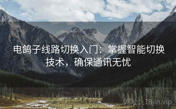 电鸽子线路切换入门：掌握智能切换技术，确保通讯无忧