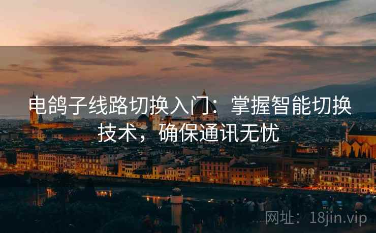 电鸽子线路切换入门：掌握智能切换技术，确保通讯无忧