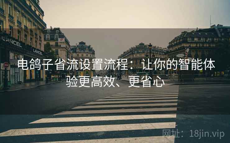 电鸽子省流设置流程：让你的智能体验更高效、更省心