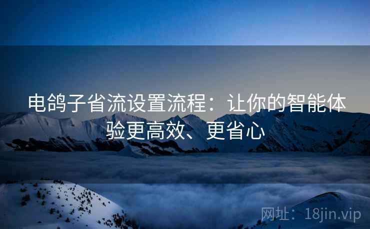 电鸽子省流设置流程：让你的智能体验更高效、更省心