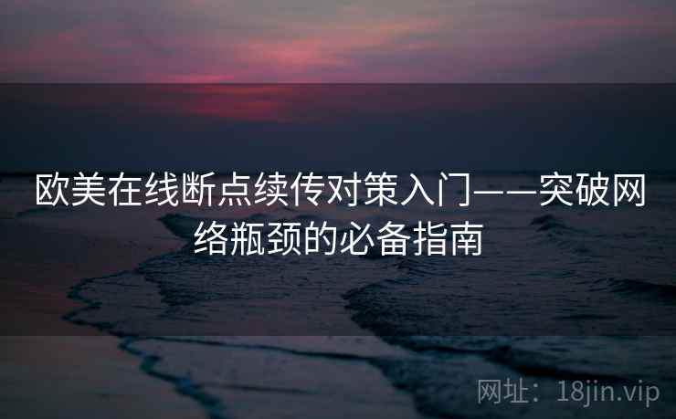 欧美在线断点续传对策入门——突破网络瓶颈的必备指南