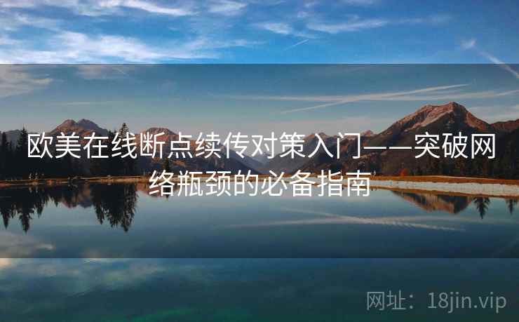 欧美在线断点续传对策入门——突破网络瓶颈的必备指南
