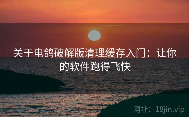 关于电鸽破解版清理缓存入门：让你的软件跑得飞快