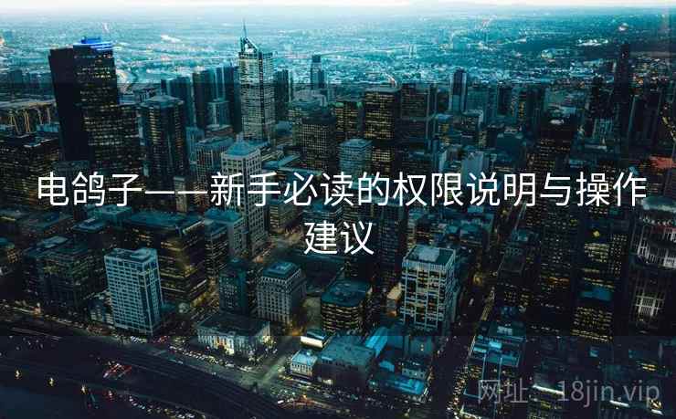 电鸽子——新手必读的权限说明与操作建议