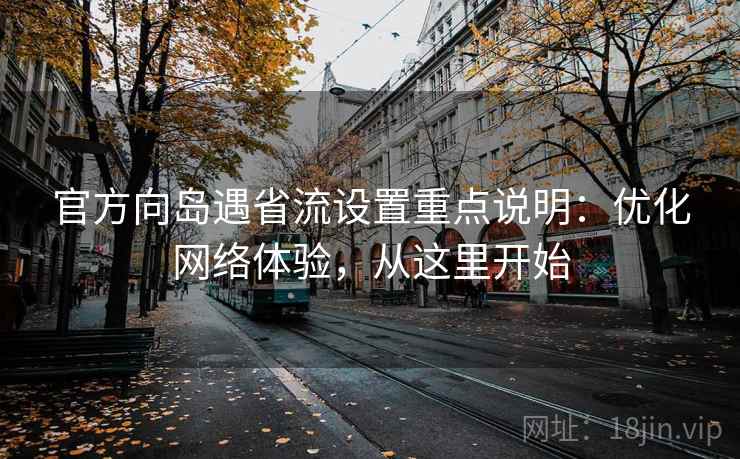 官方向岛遇省流设置重点说明：优化网络体验，从这里开始